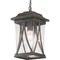 Progress Lighting Abbott Collection One-Light Hanging Lantern P550040-020 - alternate 2